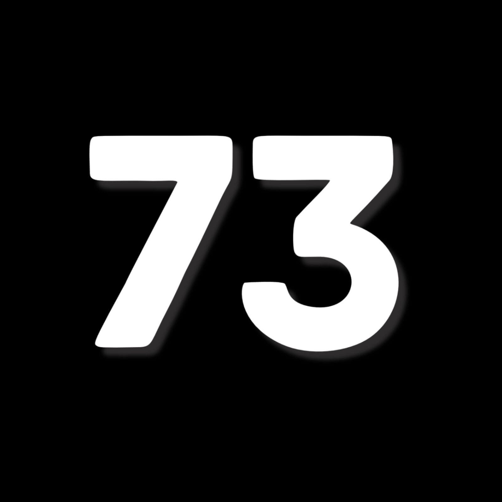73 logo